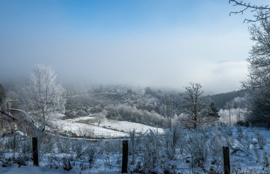 Arboretum du Col du Las , , France